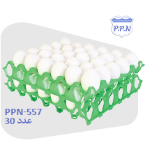 PPN-557 شانه تخم مرغ پلاستیکی