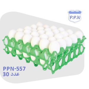 PPN-557 شانه تخم مرغ پلاستیکی
