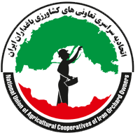 پاسارگاد پلاست نوین